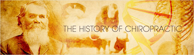 historychiro_bpimg_800x229